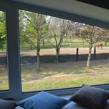 Farm stay Castolda *